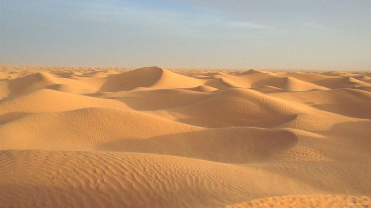 Пустыня песчаные барханы холст масло фото sand dunes - Google Search Закаты, Пейзажи, Турист