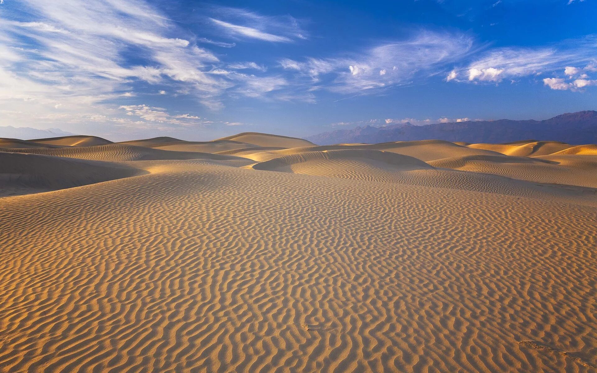 Пустыня песчаные барханы холст масло фото Wallpaper : landscape, sand, field, desert, dune, Death Valley, Sahara, plateau,