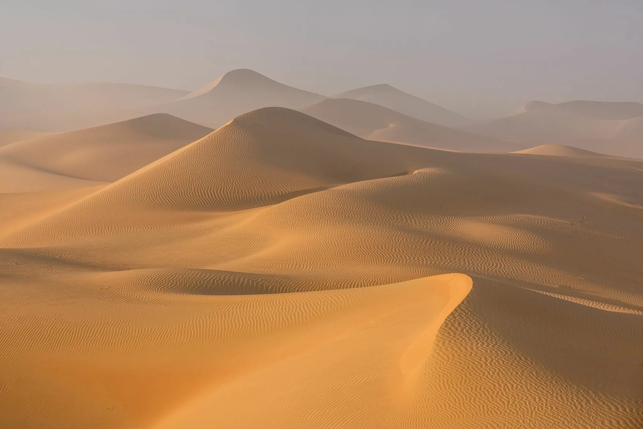 Пустыня песчаные барханы холст масло фото Fog in the desert Cool landscapes, Abu dhabi, Deserts