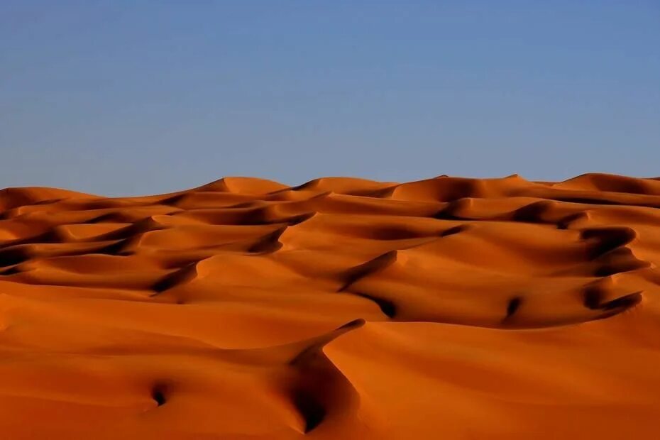 Пустыня сахара сегодня фото The Sahara Desert photography, Sahara, Deserts