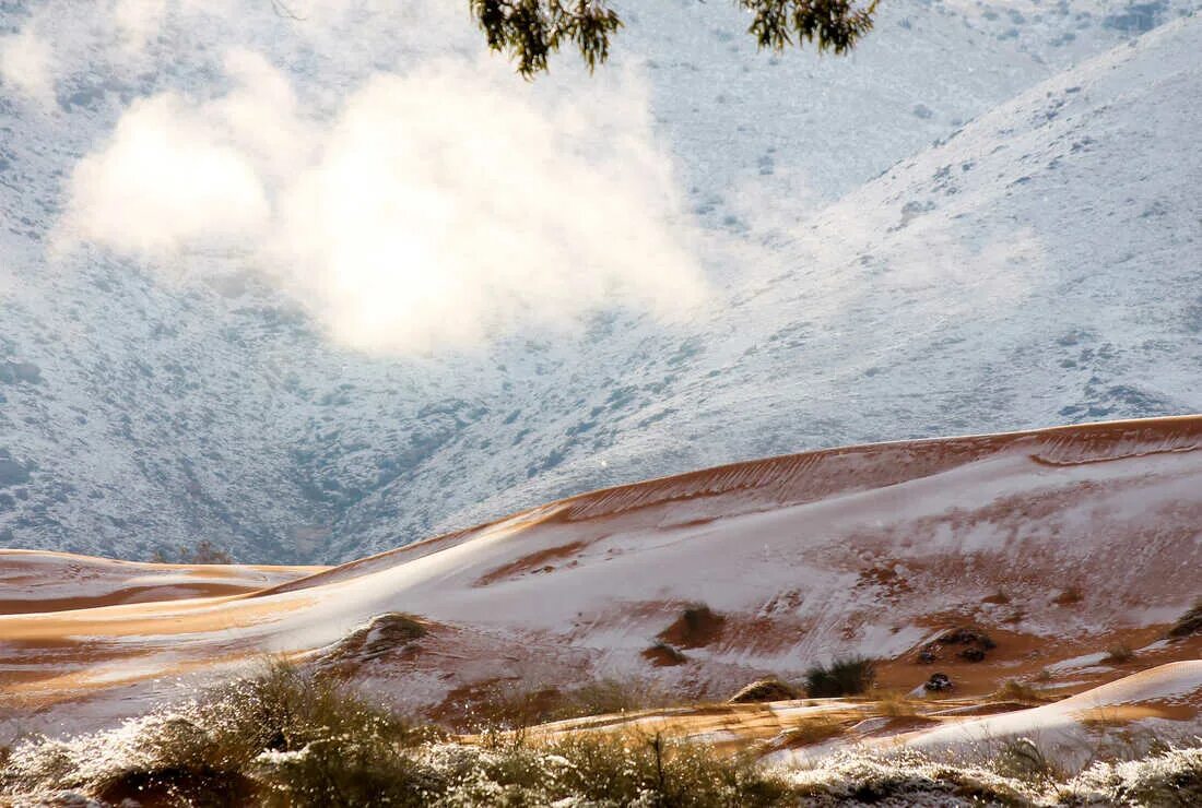 Пустыня зимой фото PHOTOS: The Sahara Desert, Painted White With Snow : The Two-Way : NPR