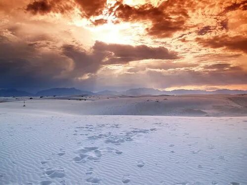 Пустыня зимой фото White Sands National Park White sands national monument, New mexico tourist attr