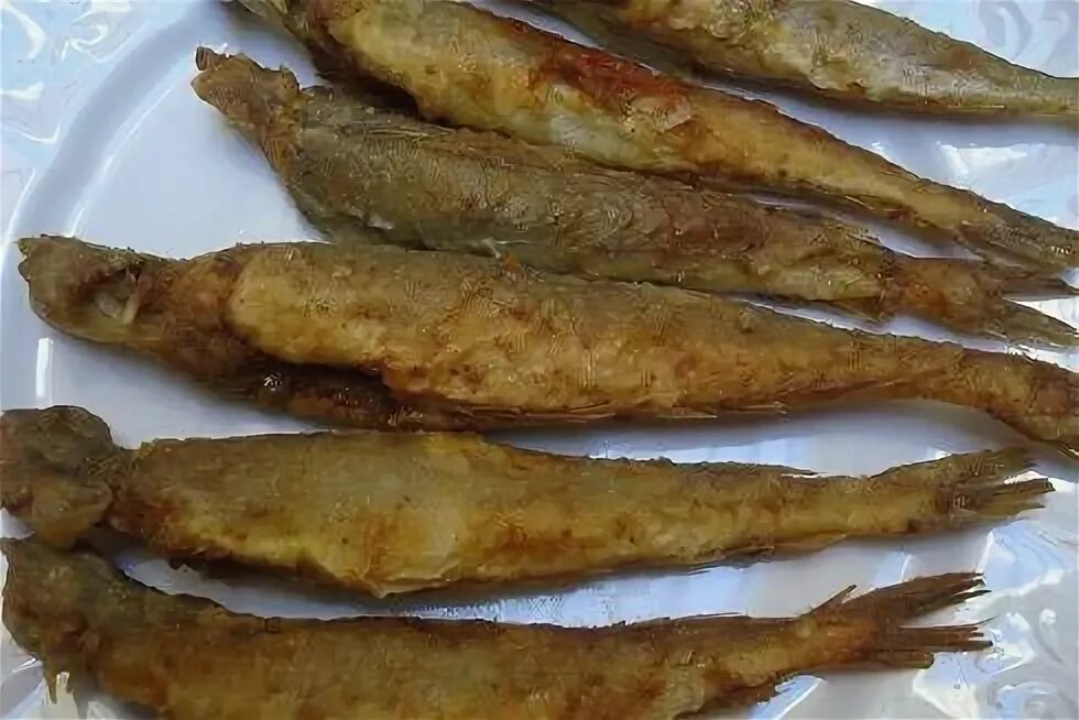 Путассу приготовления с фото Fried Whiting Fish With a Moroccan Spice Blend Recipe Fried fish, Fish dinner, F