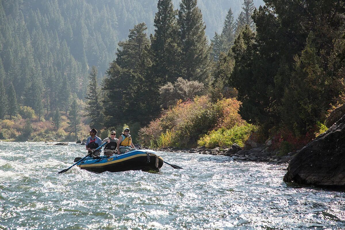 Путешествия по реке по фото Beartrap Canyon Wilderness - Wikipedia