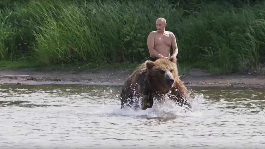 Путин на медведе фото Watch Vladimir Putin meet bears and go fishing in Russia’s Far East - Russia Bey