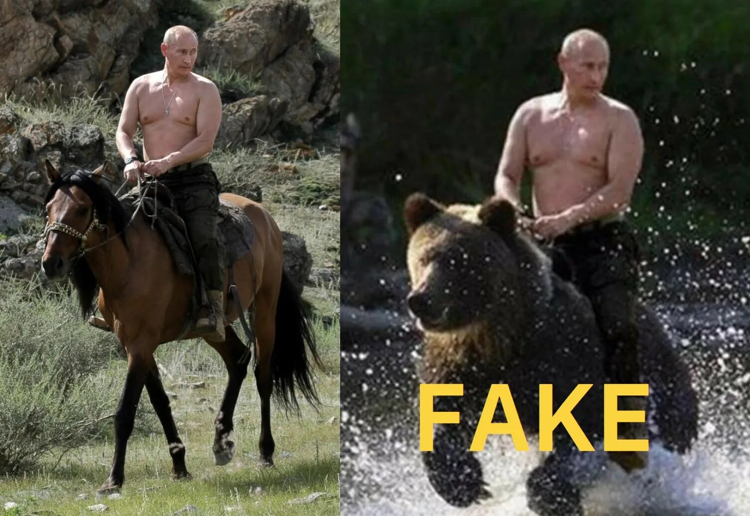 Путин на медведе фото Vladimir Putin Riding A Bear Action Figure Online www.baikalcinema.ru