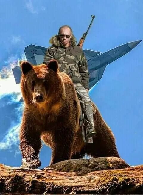 Путин на медведе фото в хорошем Pin on V.V.P Funny pictures, Brown bear, Funny