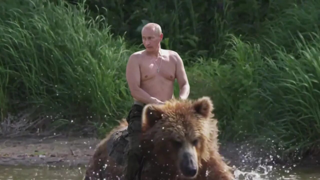 Путин на медведе фото в хорошем Putin em cima de um Urso (Video 100% Verídico!) - YouTube