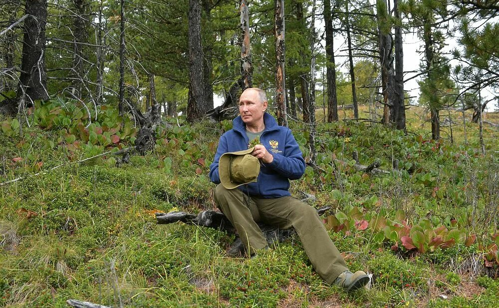 Путин на природе фото День рождения Путина в фотографиях: тайга, грибы и Шойгу