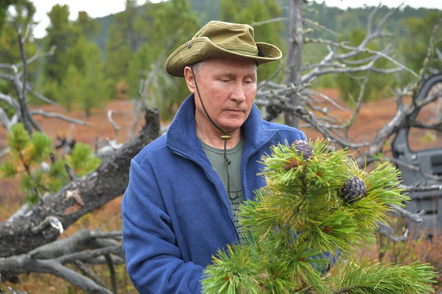 Путин на природе фото Путин и Шойгу собирали грибы в тайге. Фоторепортаж - РБК