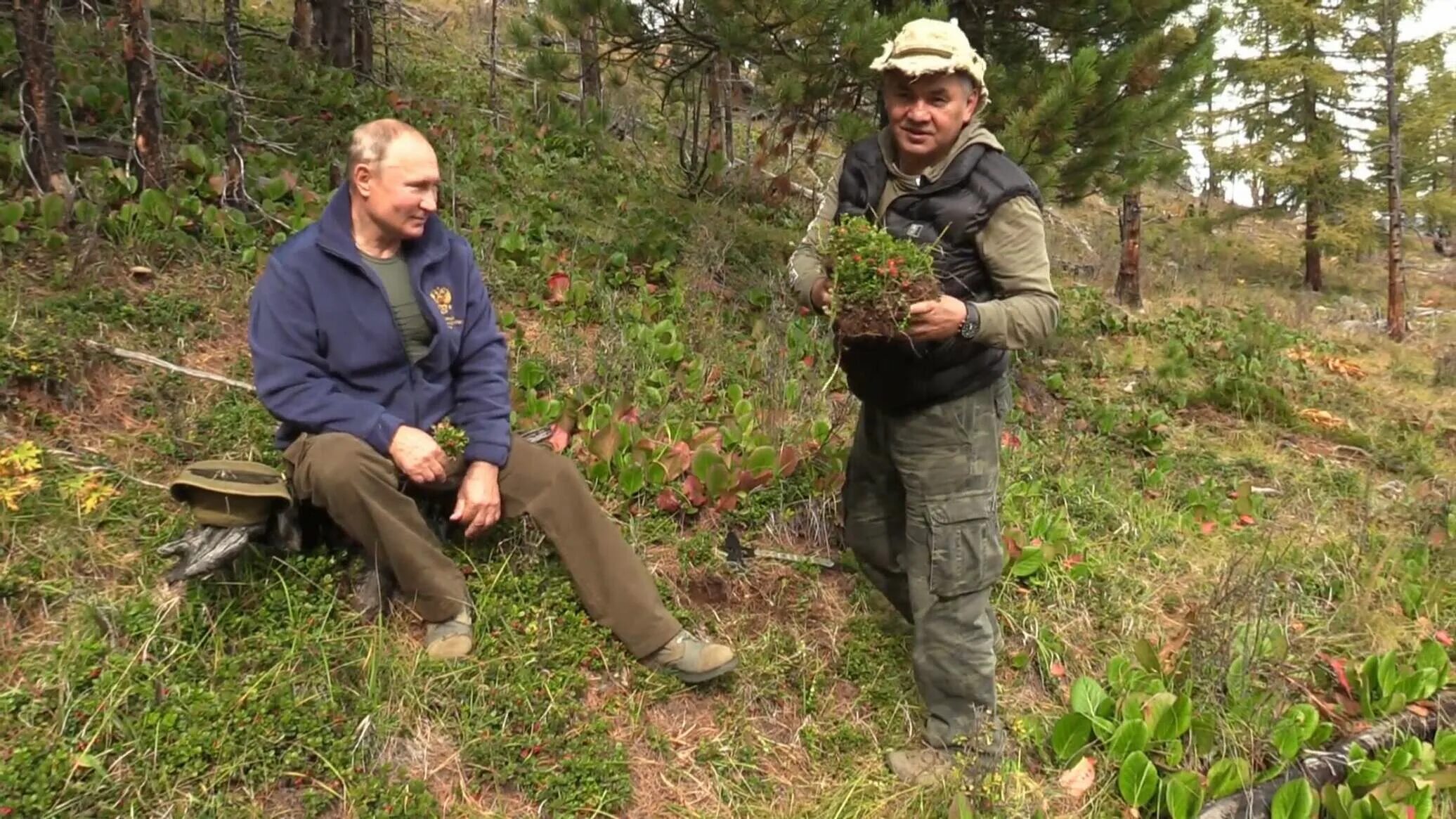 Путин на природе фото Путин в день рождения выбрал себе подарок в сибирской тайге - 07.10.2019, Sputni