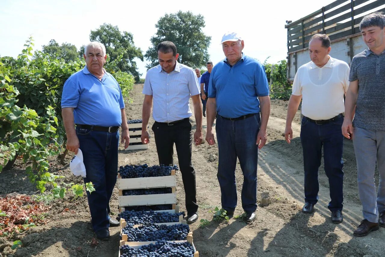 Пятерочка республика дагестан дербентский район фото Члены Правительства и Парламента Дагестана посетили Дербентский район: Яндекс.Но