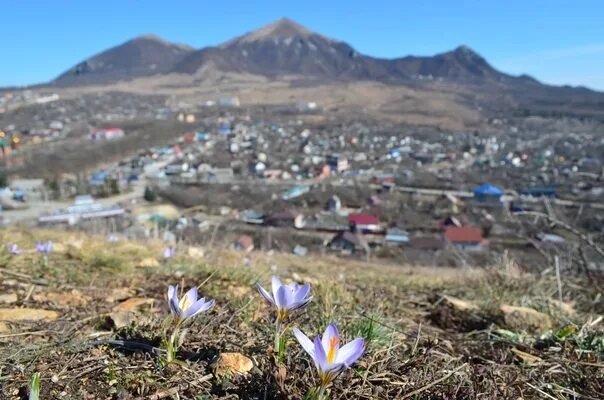 Пятигорск в марте фото Фото: Алексей Андреев 2023 Это Пятигорск ВКонтакте