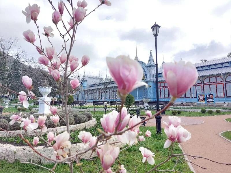 Пятигорск в марте фото СВЫШЕ МИЛЛИОНА ЦВЕТОВ УКРАСЯТ ПЯТИГОРСК ВЕСНОЙ И ЛЕТОМ Горзеленстрой Пятигорск