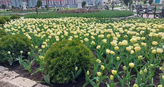 Пятигорск весной фото Более миллиона цветов украсят Пятигорск весной и летом - Пятигорская правда