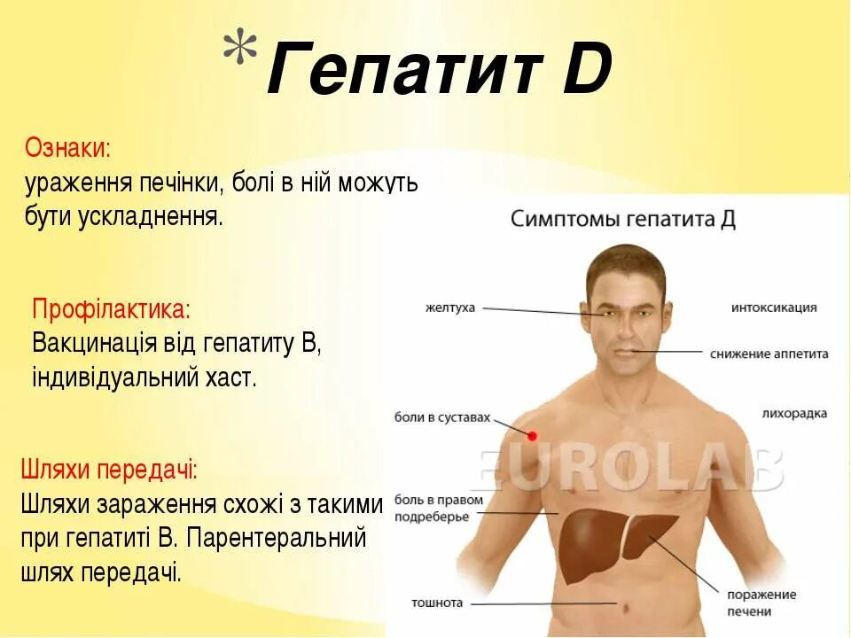 Пятна на коже от печени фото Картинки ТЕМПЕРАТУРА БОЛИТ ПЕЧЕНЬ