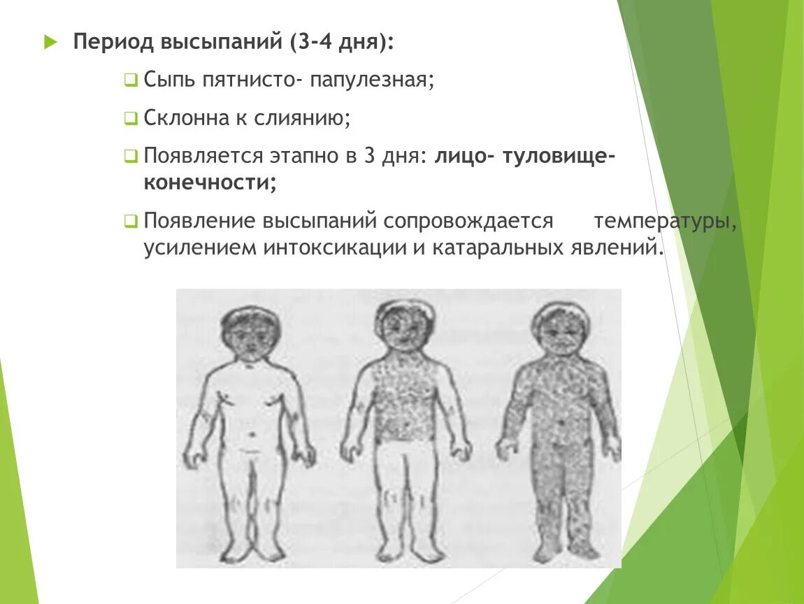 Пятнисто папулезная сыпь фото Обучающая компьютерная презентация на тему: "Детские инфекции"