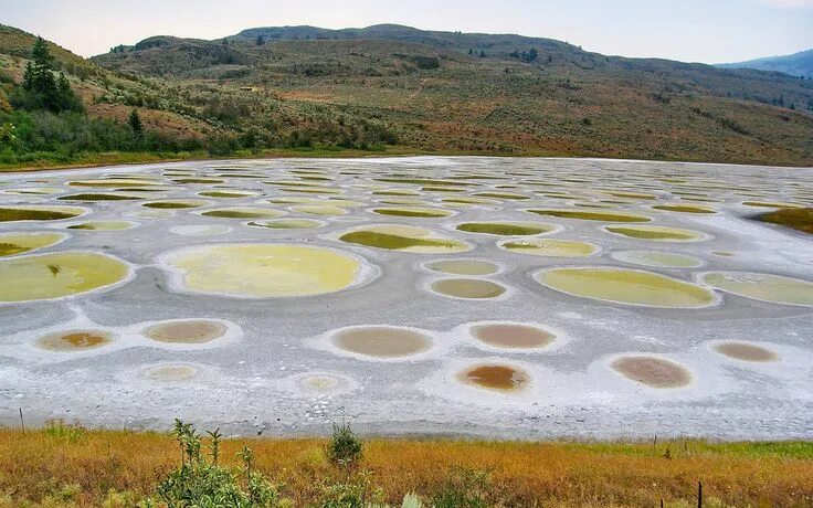 Пятнистое озеро фото The World's Strangest Natural Wonders Natural wonders, Wonders of the world, Oso