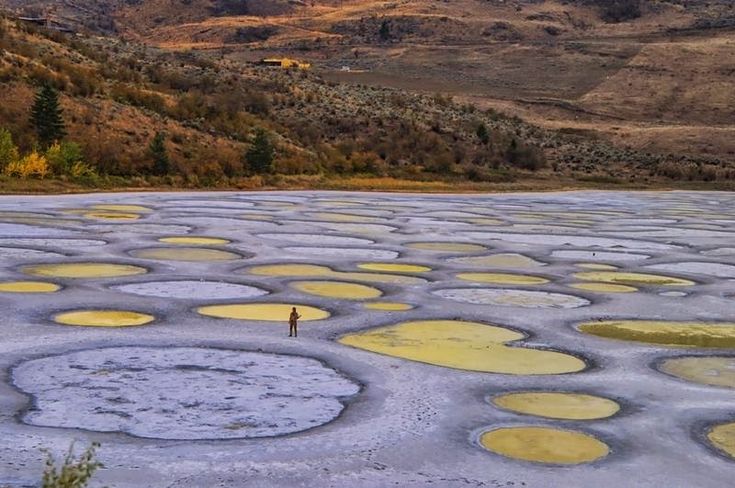 Пятнистое озеро фото Spotted Lake, Canadian town of Osoyoos Osoyoos, Natural wonders, Lake