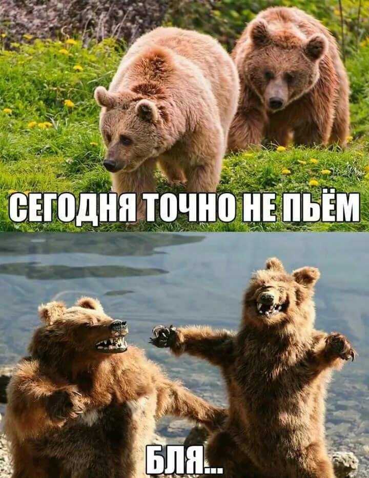 Пятница фото приколы смешные Tā gadās.. Funny pictures, Funny, Funny images