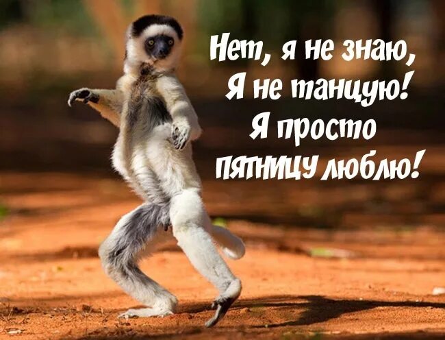 Пятница позитивные картинки скачать бесплатно Good morning ! #доброе_утро_мираль 2023 МИРАЛЬ*Всё для рукоделия VK