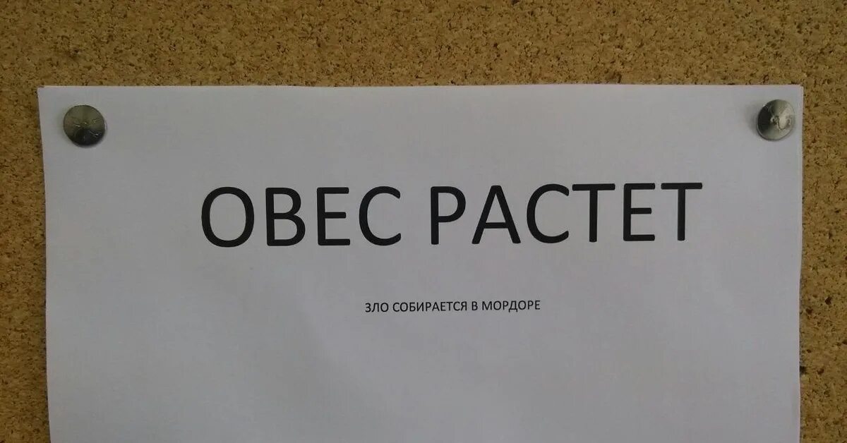 Пятница работа фото Пятница, работа, настроение на высоте. Пикабу