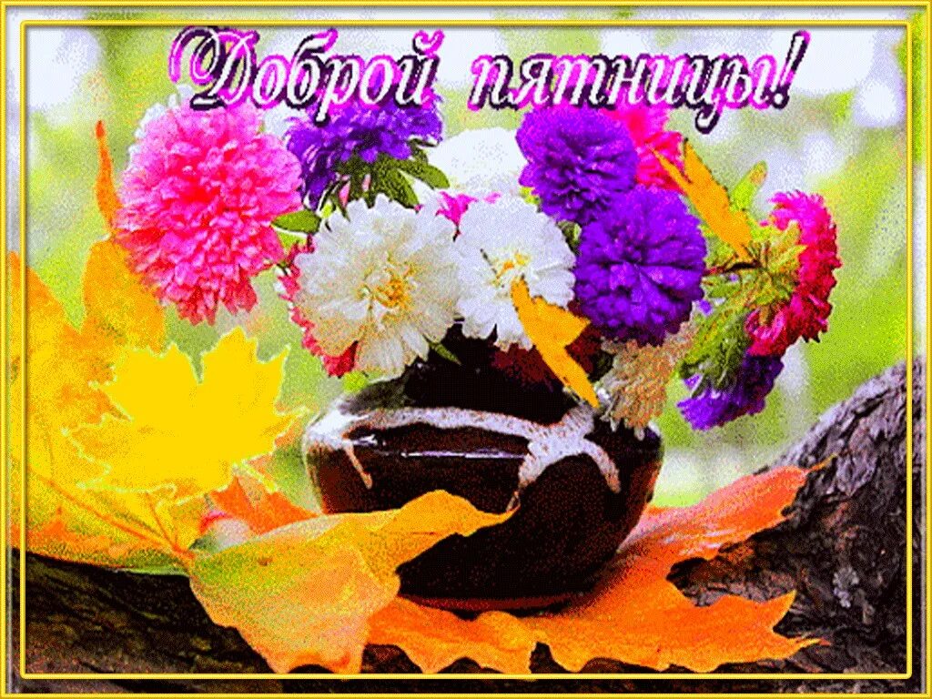 Пятница сентября картинки красивые с пожеланиями GOOD FRIDAY,FRIENDS ! Then came Friday, Congratulations to all, ! friends It was