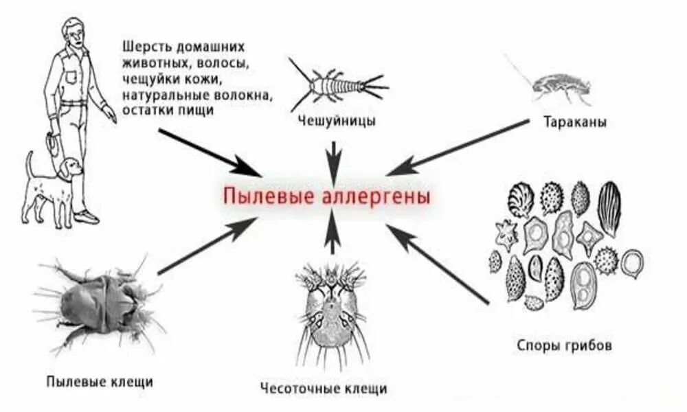 Пылевые клещи аллергия на коже фото Причиной неожиданно возникшей аллергической реакции могут быть как раз домашние 