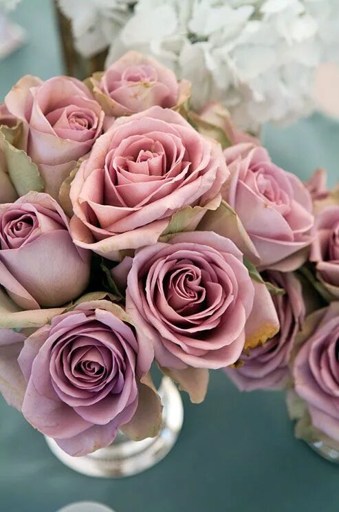 Пыльная роза фото цветов Dusty pink roses are a beautiful contrast to a light blue tablecloth. Pink rose 