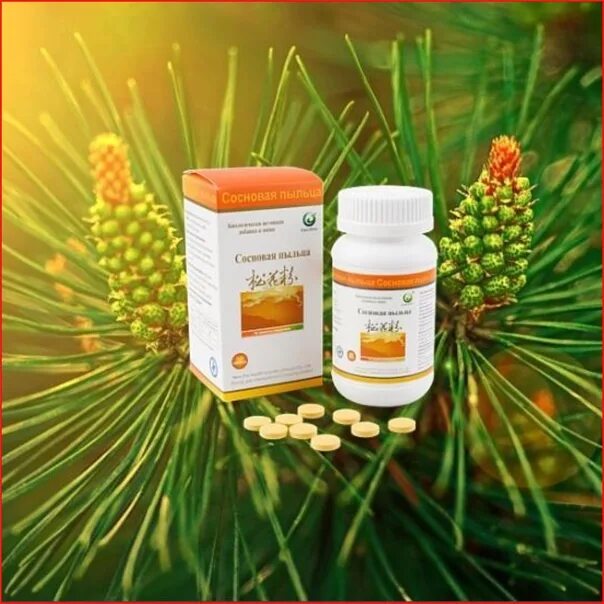 Пыльца сосны фото What does Gozhen pine pollen do? - Improves blood circulation; It restores sight