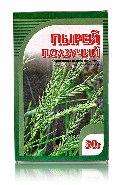 Пырей ползучий семена фото Пырей ползучий 30гр - купить в Москве, цены в интернет-магазинах на Мегамаркет