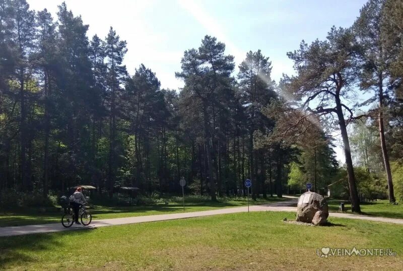 Пышки гродно тропа здоровья фото Лесопарк Пышки: место отдыха для детей и взрослых в Гродно