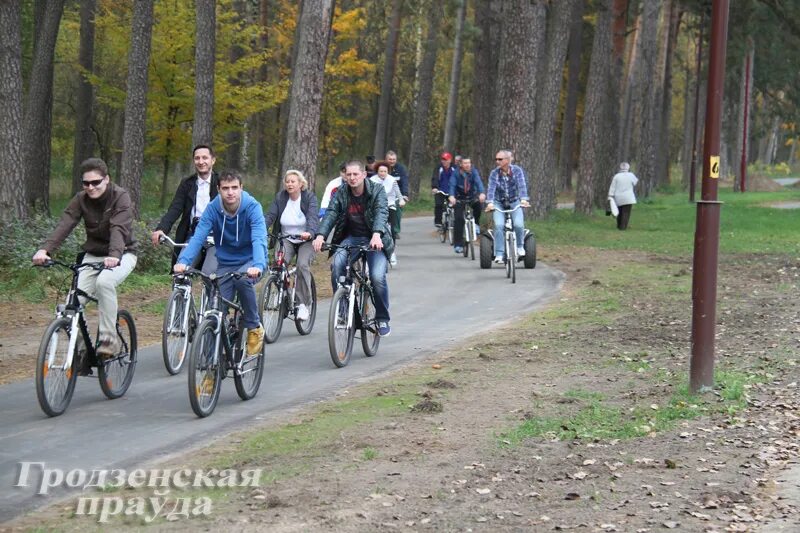 Пышки гродно тропа здоровья фото Тропа здоровья в Пышках останется пешеходной, а для велосипедистов появится доро