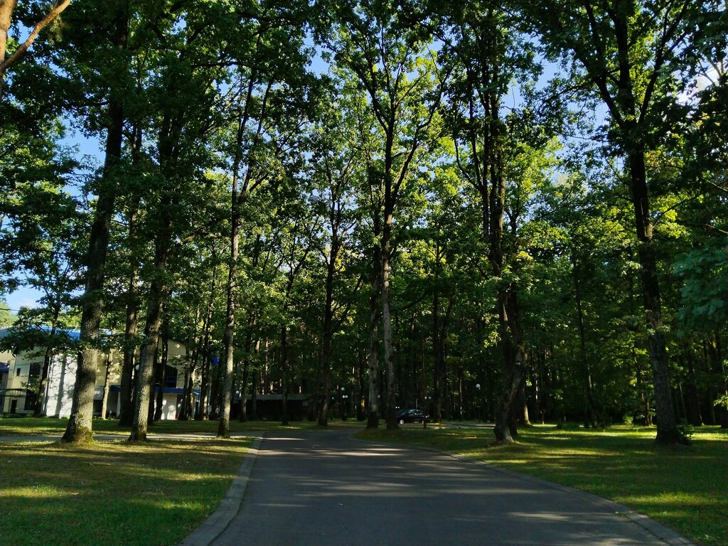 Пышки гродно тропа здоровья фото Пышки, парк культуры и отдыха, Гродно, тропа Здоровья - Яндекс Карты