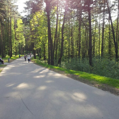 Пышки гродно тропа здоровья фото Парки в Гродно, Отдых и развлечения Любимый город