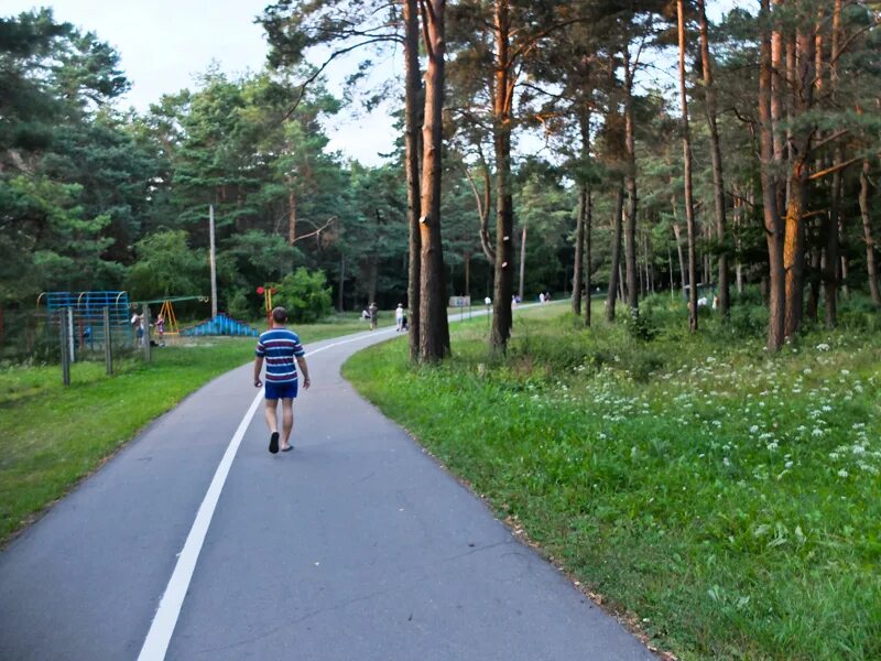 Пышки гродно тропа здоровья фото Про Гродно. Пышки - Журналюльки - LiveJournal