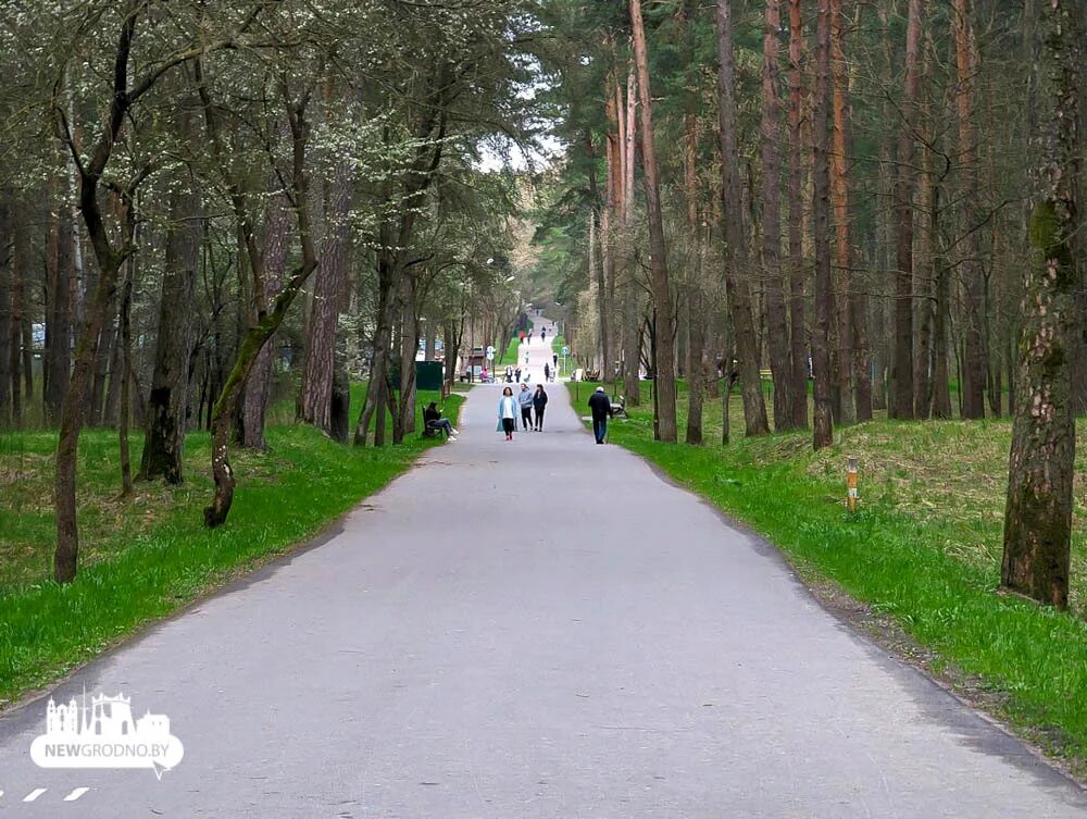 Пышки гродно тропа здоровья фото По всей Беларуси ограничили посещение лесов