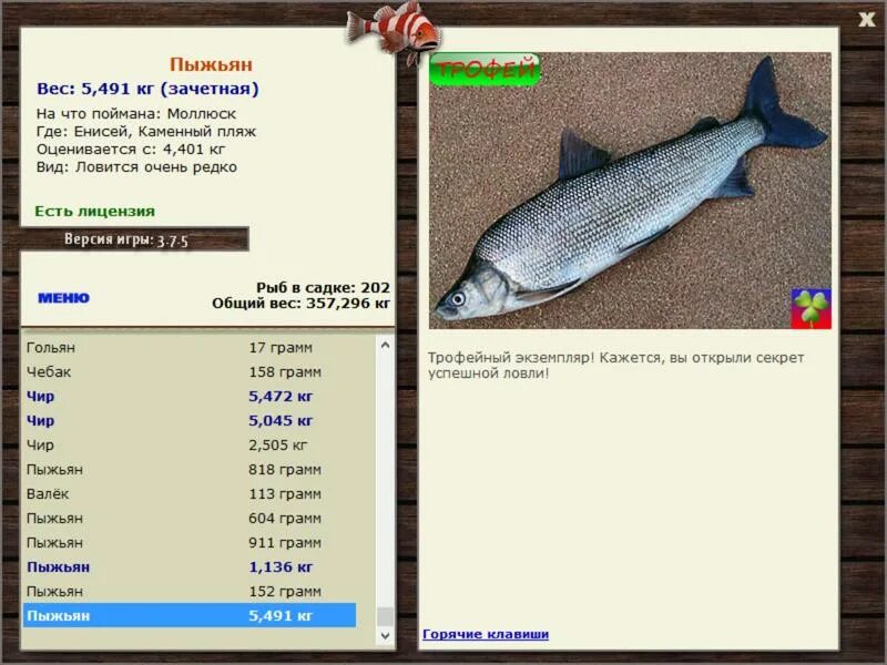 Пыжьян рыба фото описание цена РУССКАЯ РЫБАЛКА Installsoft Edition