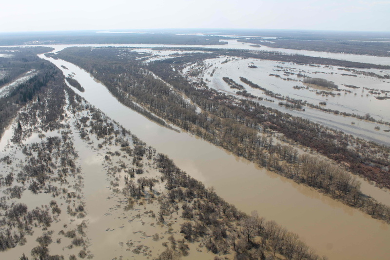 Р сев фото Уровень воды в Оби продолжает подниматься, подтоплено несколько сел (фото) - vto