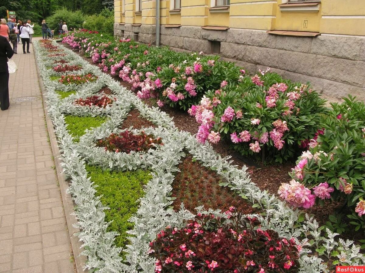 Рабатки в ландшафтном дизайне фото Оформление рабатки своими руками - растения и цветы для рабаток