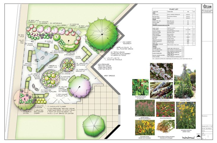 Рабочая программа ландшафтный дизайн Our Mission Landscape design, Planting plan, Landscape