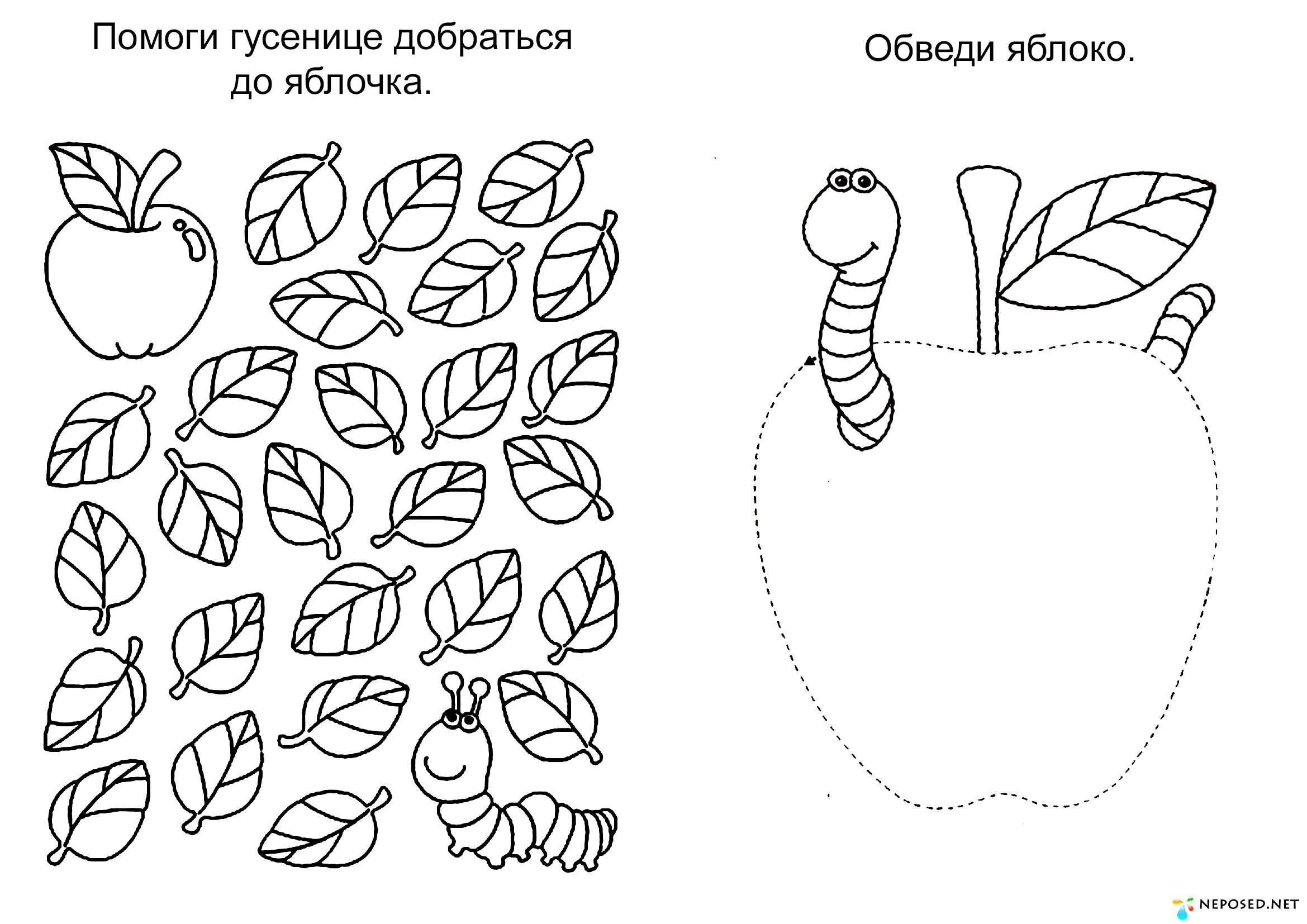 Рабочая тетрадь нищевой старшая группа фрукты фото Занятия с детьми рас 3 года