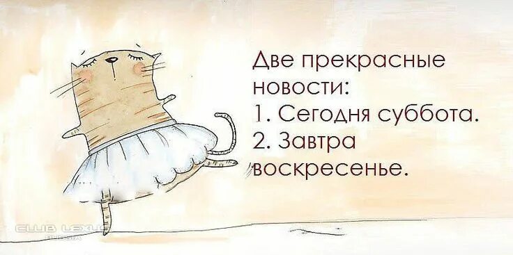 Рабочее утро субботы картинки прикольные #доброеутро Надписи, Любовь к себе, Гороскоп