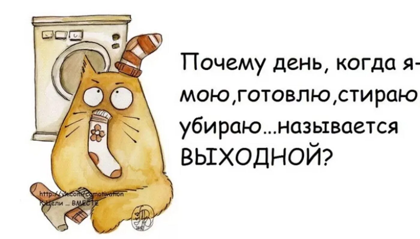 Рабочее утро субботы картинки прикольные А какие ваши планы на выходные? 2023 Хобби для души ВКонтакте