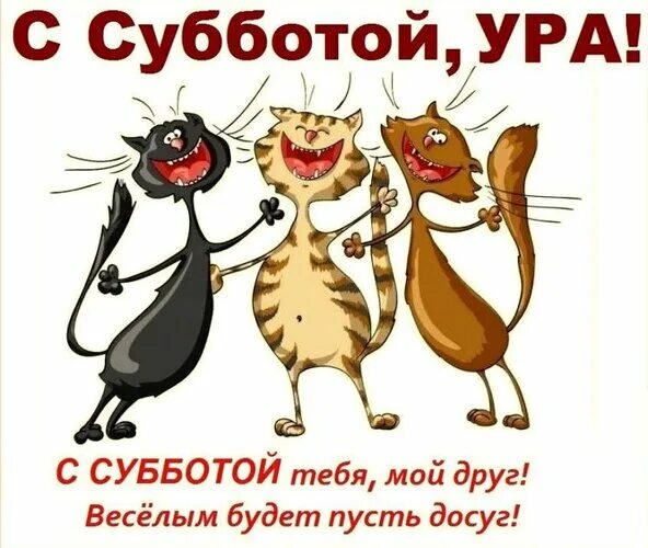 Рабочее утро субботы картинки прикольные Открытка С Субботой! Ура!