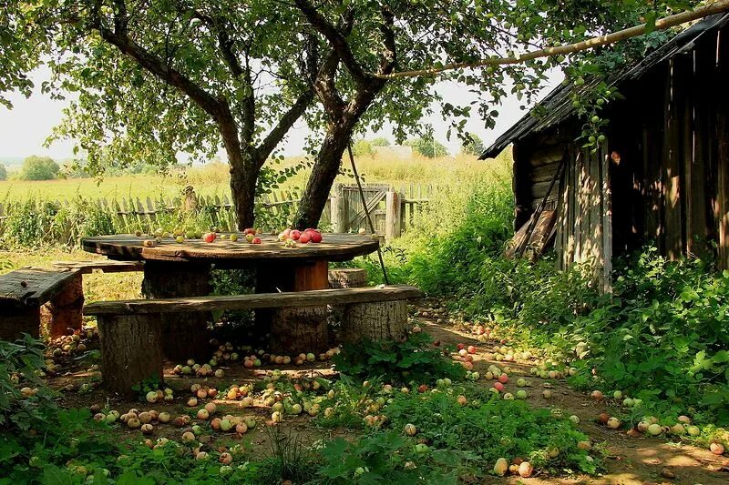 Работа в деревне фото Деревенская идиллия в фотографиях Сергея Красноперова. Обсуждение на LiveInterne