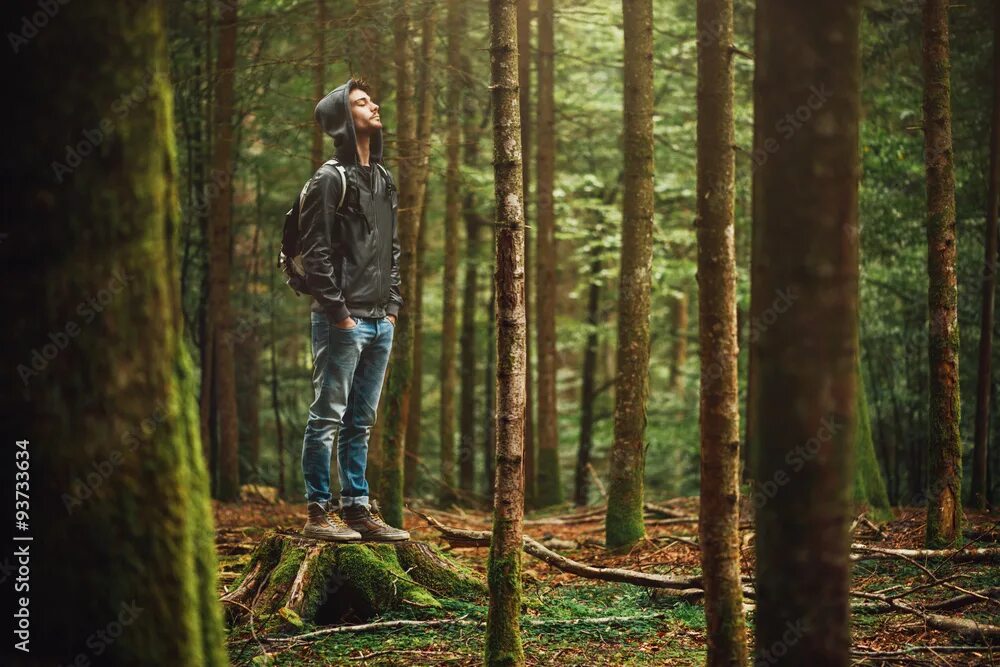 Работа в лесу фото Hooded man posing in the forest Фотографія Stock Adobe Stock