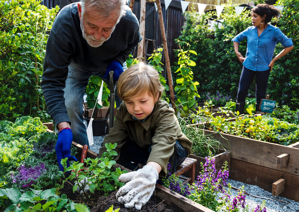 Работа в саду фото How to Find Your Planting Zone Gardening for kids, Garden guide, Plants