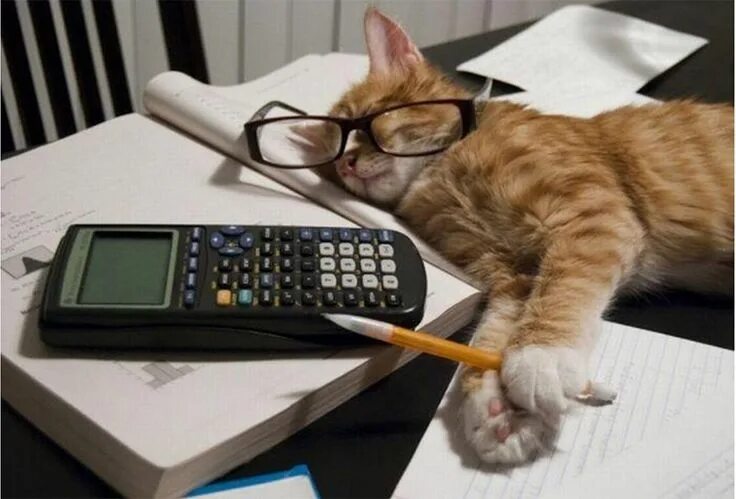 Работник дня прикольные картинки ЖИЗНЬ В ДЕРЕВНЕ vs ЖИЗНЬ В ГОРОДЕ Math cats, Accounting humor, Studying funny