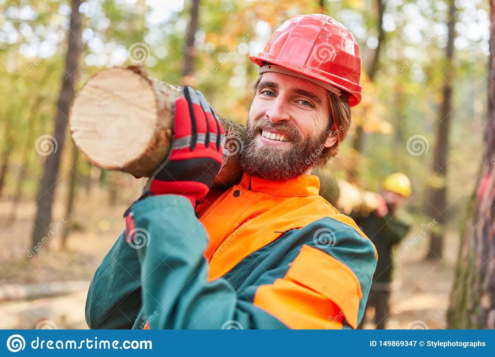 Работники леса фото Two Forest Workers Carry a Tree Trunk Stock Image - Image of collar, clothing: 1